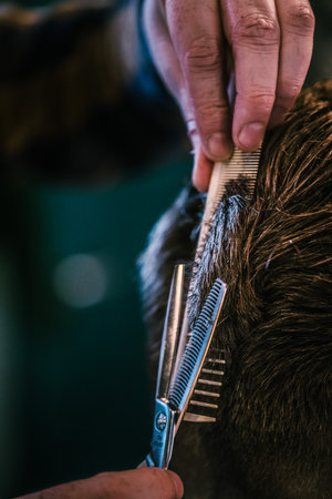 Barbershop, close-up of cutting hair. Vintage style.