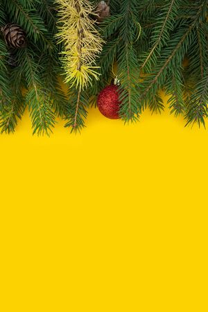 Christmas and New Year yellow background with fir borderの写真素材
