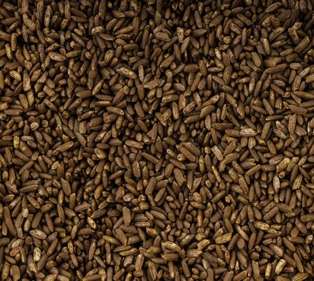 Raw Red Rice Background
