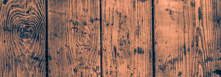 Wood texture background