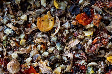 Spices close-up for a background