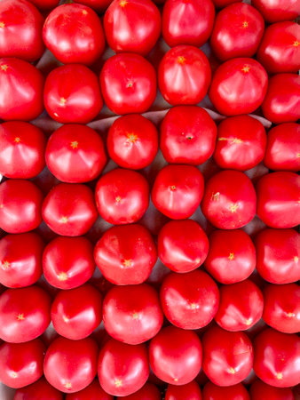 Lots of fresh ripe tomatoes with drops of dew. Close-up background with texture of red tomatoesin...