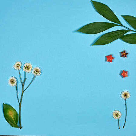 flat view, dried flowers and stars (space for text)    