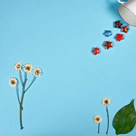 flat view, dried flowers and cup (space for text)                                                   ...