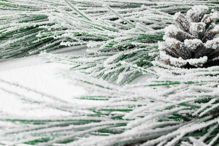 Snowy branches christmas tree and cone on white wooden vintage backgroundの写真素材