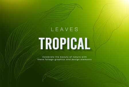 Vector horizontal tropical leaves banners on greenery background. Exotic botanical design for cosmetics, spa, health care products, aroma. Vector illustrationのイラスト素材