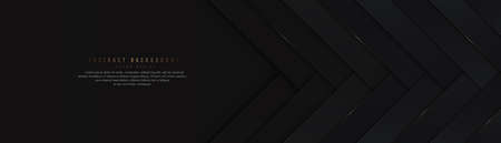 Modern black abstract background with overlap dark paper layers. Luxury black diagonal stripes with shiny lines. Elegant horizontal banner design with copy space for text. Vector illustrationのイラスト素材