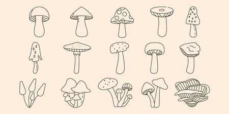 mushroom set line art logo vector symbol illustration designのイラスト素材