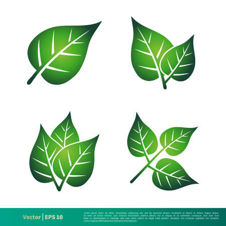 Set Green Leaves  Icon Vector Logo Templateのイラスト素材