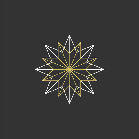 Constellation Star Logo Template Illustration Design. Vector EPS 10.のイラスト素材
