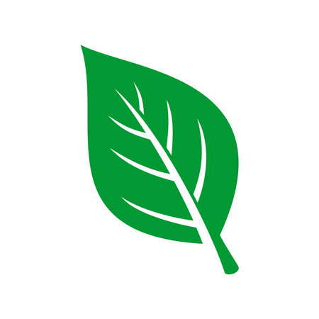 Green Leaf Icon Illustration Vector Templateのイラスト素材
