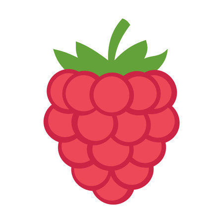 Simple Raspberry Fruit Icon Illustration Vector Template