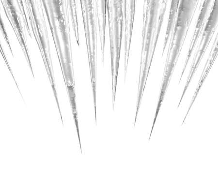 icicles on the white centredの写真素材