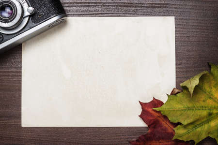retro camera and some autumn leaves on wooden tableの写真素材
