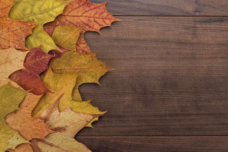 colorful autumn leaves on the wooden background