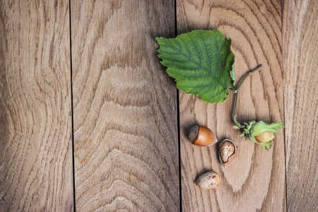 fresh hazelnuts on the wooden table backgroundの写真素材