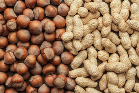 peanuts and hazelnuts on the table backgroundの写真素材