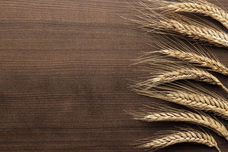 ears of rye on the wooden backgroundの写真素材