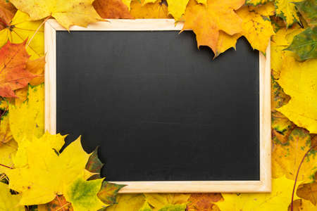 clean blackboard on the autumn leaves background