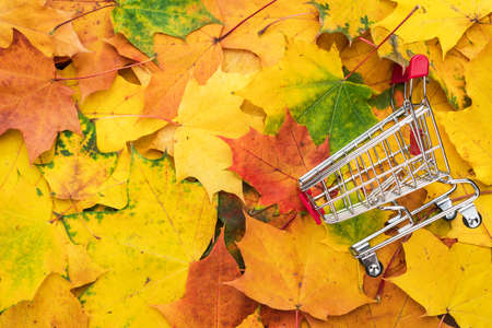 red pushcart over colorful autumn leaves background. fall sale season concept