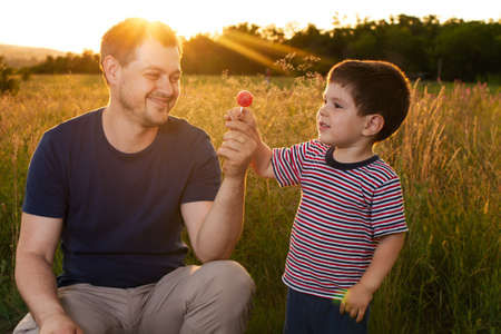 Dad and son walk in a yellow summer field in the evening at sunset and eat candy on a stick....