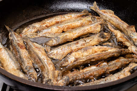 Capelin fish is fried in a pan in vegetable oil. Cooking, seafood.の写真素材