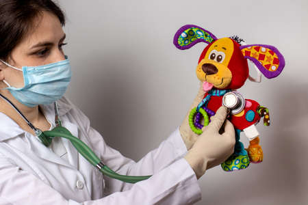 A veterinarian with a stethoscope examines a toy dog. Pediatrics and veterinary medicine.の写真素材