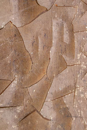 Gray wood background. Dark wood texture.