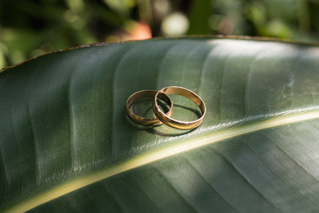 Wedding rings of the bride and groom on a beautiful green leaf on the wedding day. Wedding traditionsの写真素材