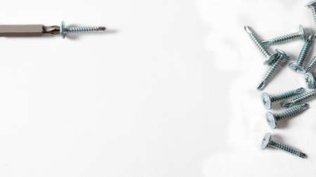 Self-cutters and screwdriver on a white background with space for text. Screw with thread -...