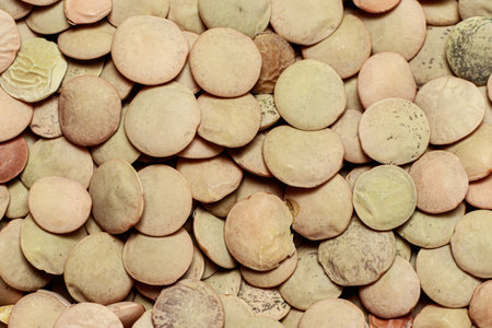 White lentil macro photo close-up view from above. legumesの写真素材