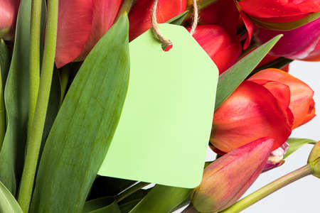 A bouquet of red tulips and a tag for the inscription with congratulations for the birthday,...