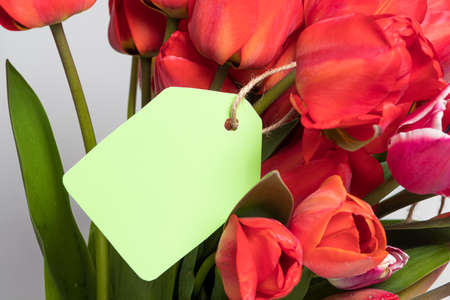 A bouquet of red tulips and a tag for the inscription with congratulations for the birthday, mother's day or March 8.の写真素材