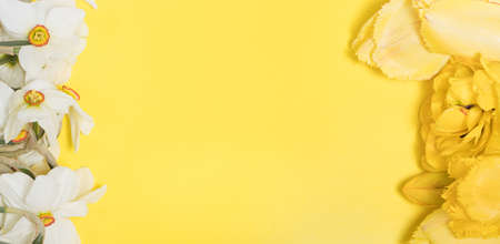 Yellow bright beautiful banner with flowers and a place for text. For congratulations on holidays,...