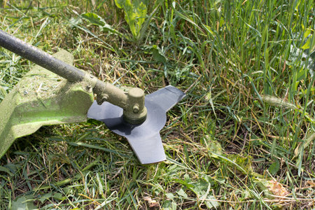 A hand-held lawn mower mows the grass in the summer in the garden. For a garden equipment store....