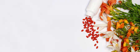 Banner with bioadditive tablets and medicinal plants with place for text copy space. Lutein, herbal medicine pillsの写真素材