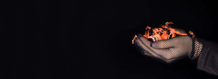 Candy with the inscription Halloween. Black banner place for text. A woman holds an orange candy.の写真素材