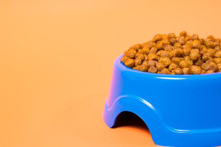 Blue plate for animal feed on an orange background with place for text for the pet shop. Dry food...