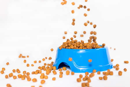 Dry food for kittens and cats pours into a blue plate. on white with space for text. Balanced food, shop for animalsの写真素材