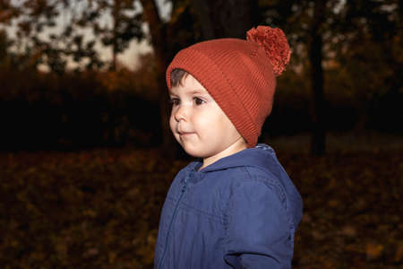A boy of 3 years in an orange hat and a blue jacket walks in the autumn forest and looks away.の写真素材