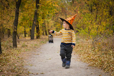 A preschool boy walks with a lantern in the Halloween autumn forestの写真素材