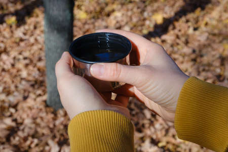 A woman holds a thermo mug of tea in the autumn forest, hands close-upの写真素材