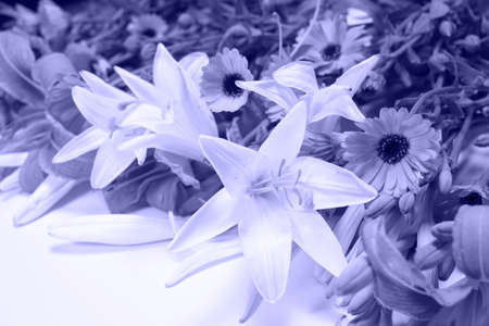 Bouquet of flowers in a purple shade very peri