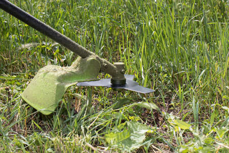 A hand-held lawn mower mows the grass in the summer in the garden. For a garden equipment store....