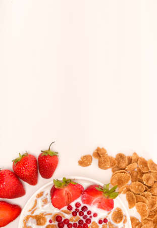 Cereals drenched in milk - quick breakfast with fruits and berries, top view, place for textの写真素材