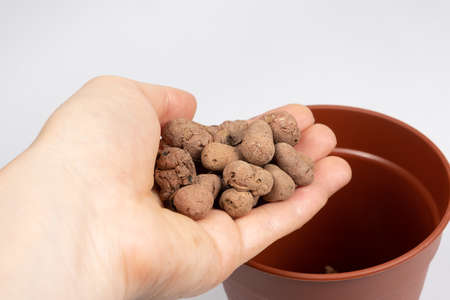 Drainage stones for indoor plants in a person's hand