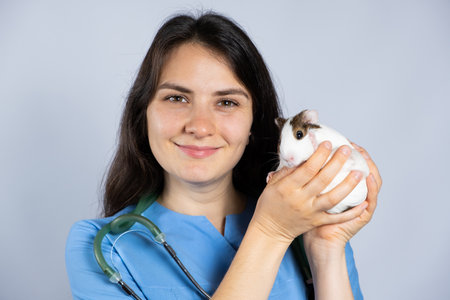 Veterinarian holds a small guinea pig in his hands and smiles close-up.の写真素材