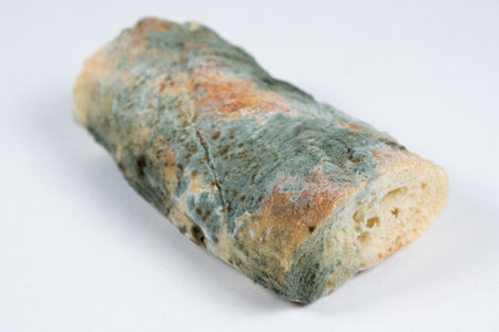 Mold on bread on a white background close-up. The danger of mold, stale products.の写真素材