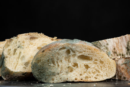Mold on bread on a black background close-up. The danger of mold, stale products.