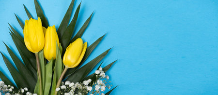 Hello spring - a bouquet of spring flowers on a blue background, a banner with a place for textの写真素材